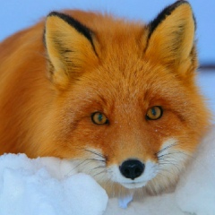 Татьяна Баранова, 30.05