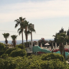 Владислав Александрович, 29.12, Павлодар