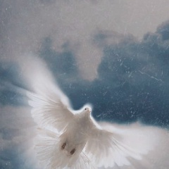 Елена Кононова, 03.06