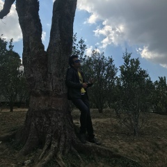 Kyaw-Swar Myint, 17.09.1979