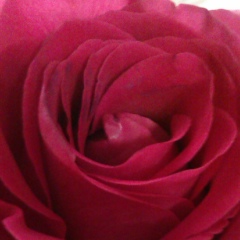 Дина Чернакова, 08.10.1985, Омск