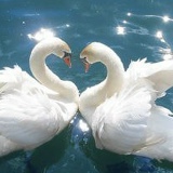 Татьяна Шульга, 27.07.1950, Санкт-Петербург