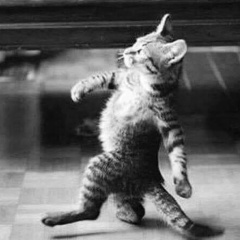 Юрик Кадушко, 22.05, Кокшетау