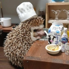 Катерина Гордеева, 12.11, Батайск