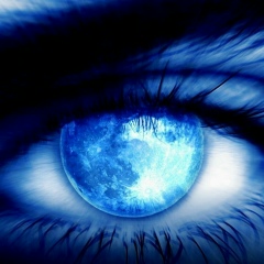 Станислав Шалашов