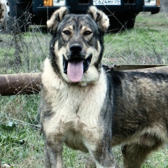 Рамазан Зулпукаров, 09.03.1925, Махачкала