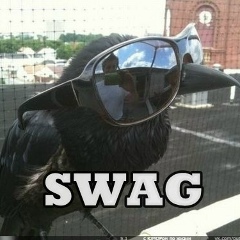 Дмитрий Грачёв, Глазов