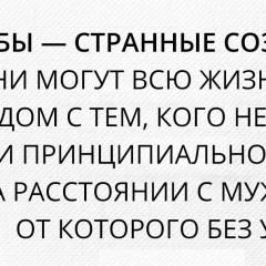 Андрей Несин