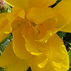 Светлана Кравченко, 26.05.1985, Краснодар