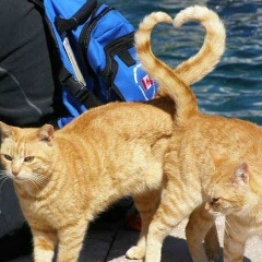 Маргарита Марченко, 05.01.1991, Севастополь