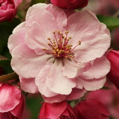 Зоряна Михалюк, 14.02, Киев