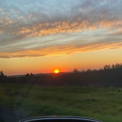 Светлана Кагаева, 10.01, Darwin