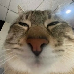 Павел Тюрин, Фурманов