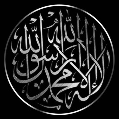 Шамиль Солтымурадов, 16.07.1995, Грозный