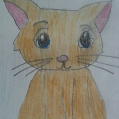 Ирина Сидоренко, 27.06, Москва