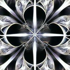 Дмитрий Фракталов, Санкт-Петербург