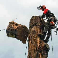 Виктор Емелин, 16.07.1988, Москва