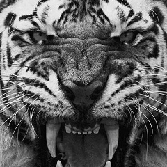 Ержан Отаралы, Алматы