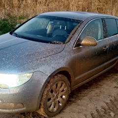 Василий Николаев, 07.12, Липовка