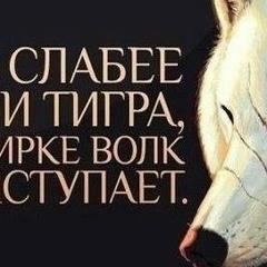 Станислав Монак, Мурманск