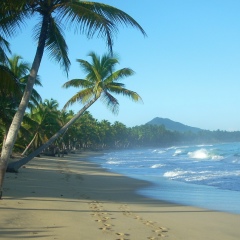 Лильченок Олейник, 15.05.1984, Славутич