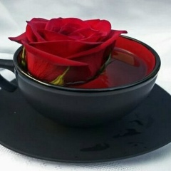 Тогжан Баукенова, 14.04.1969, Алматы