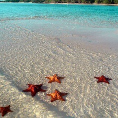 Йолдаш Заитов, 30.08, Алматы