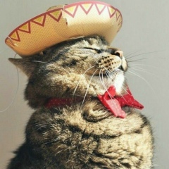 Дмитрий Вяткин, 14.07.1987, Нижний Новгород