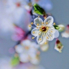 Мээримай Исраилова, 23.05.1995, Москва