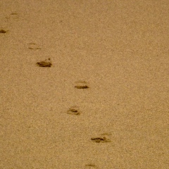 Marina Osta, 03.02.1980, Киев