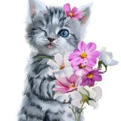 Дамеля Хорошая, 28.03