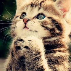 Гриха Пройдаков, Fukuoka