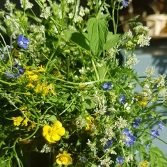 Анна Каратун, 09.06.1975, Санкт-Петербург