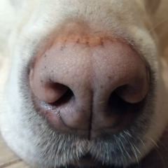 Андрей Егоров, 11.01.1983, Санкт-Петербург