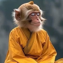 Антон Кузьменко, Санкт-Петербург