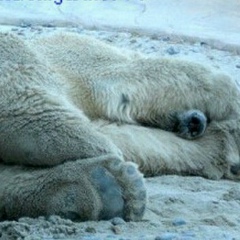 Михаил Поляков, 21.09.1989, Москва