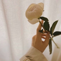 Анн К, Усть-Каменогорск