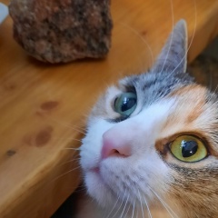 Давид Бантеев, 22.04, Санкт-Петербург