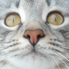 Александр Максимов, 10.08.1994, Йошкар-Ола