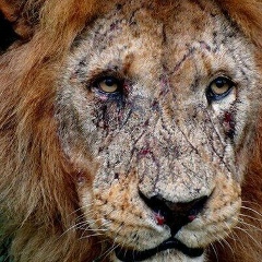 Александр Толстых, 08.02, Одесса