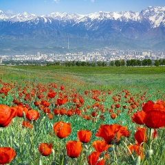 Наталья Радаева, Петрозаводск