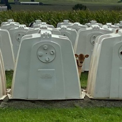 Михаил Тарасов, 12.05.1982, Йошкар-Ола