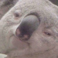 Серёжа Чернецкий, 24.05.1978, Иркутск