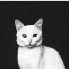 Илья Смердов, 17.02.1996, Железногорск