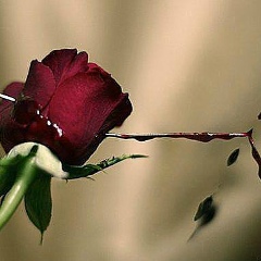 Tiki Miki, 05.05.1996