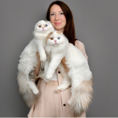 Ксения Казинская, 01.07, Краснодар