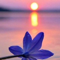 Татьяна Чалый, 06.02, Санкт-Петербург