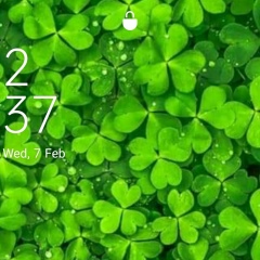 Trezza Louis, 26.02.1988, Yangon