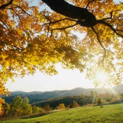 Николай Ватокин, 18.11, Москва