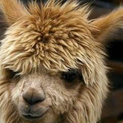 Дмитрий Лунёв, 07.09.1988, Coventry